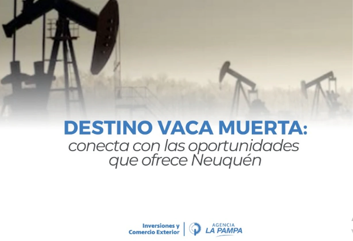 VacaMuerta