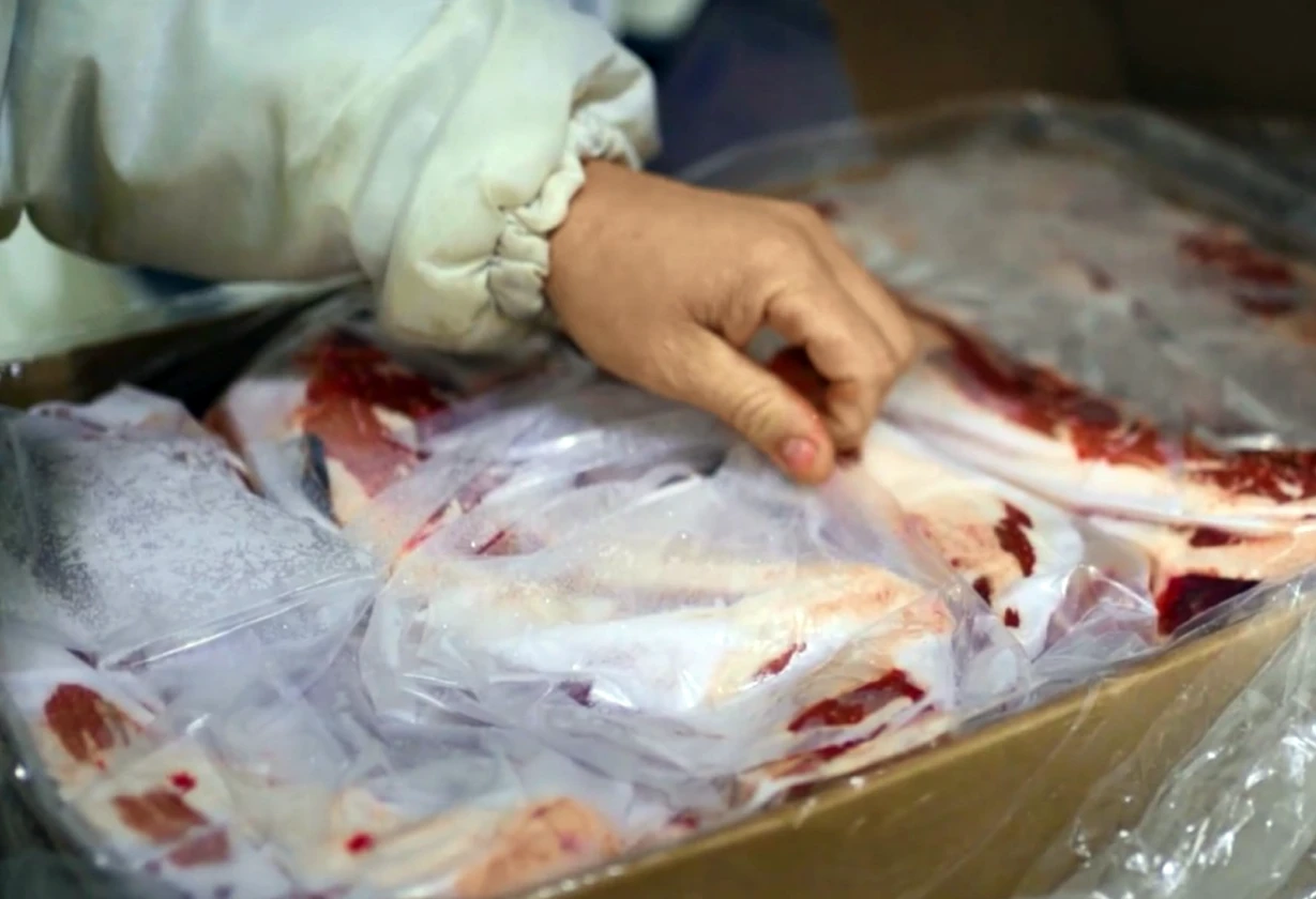 carne