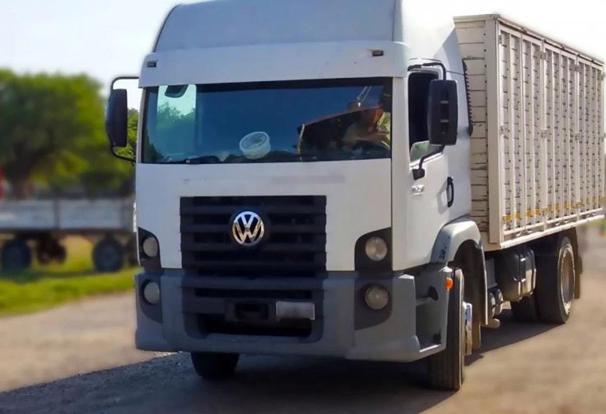 transporte