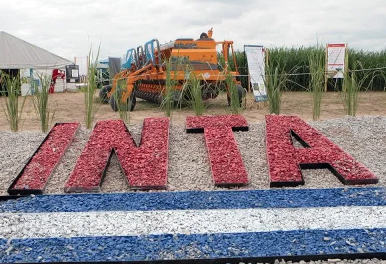 inta