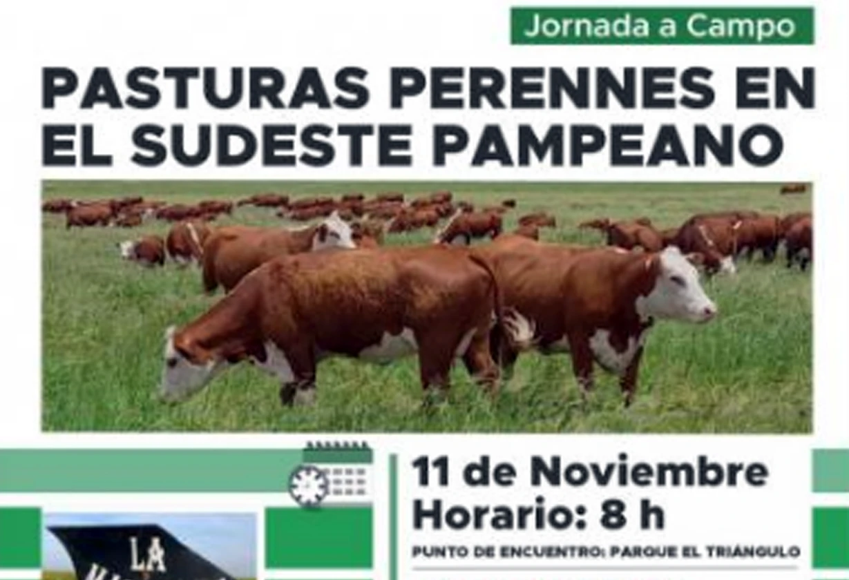 pastura