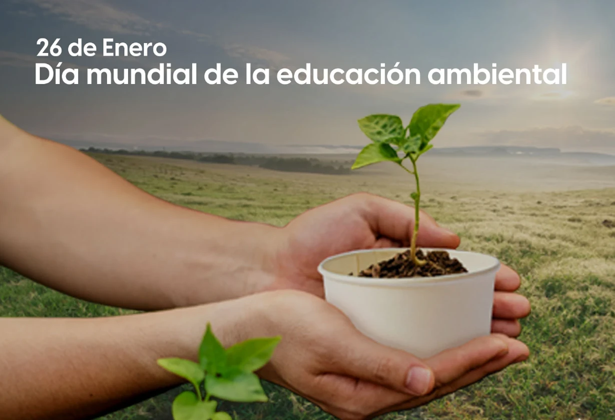ambiental