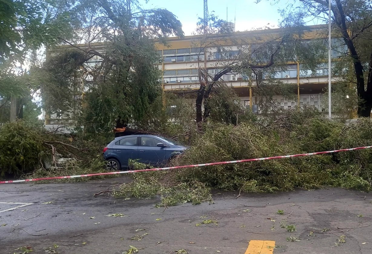 temporal