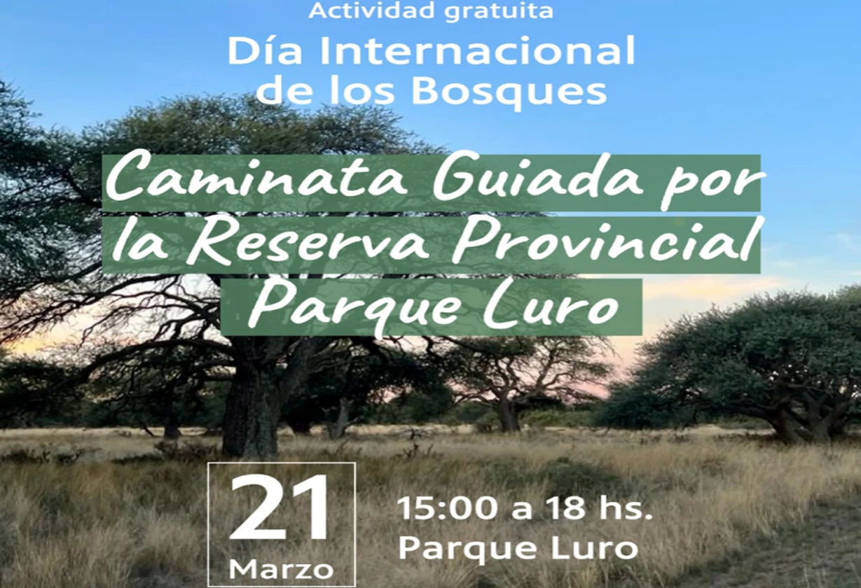 bosque_Portada