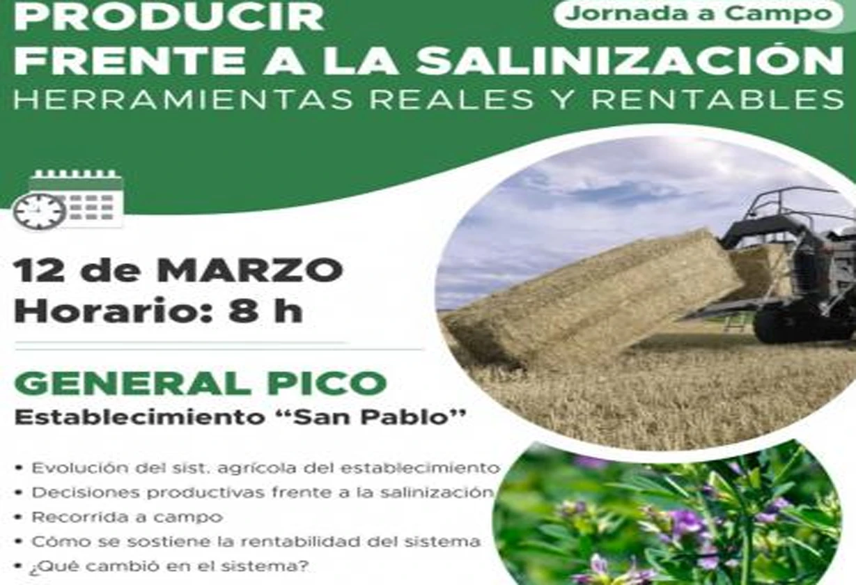 suelo