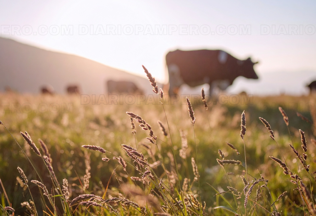 Fuerte aumento de exportaciones de carne vacuna en marzo