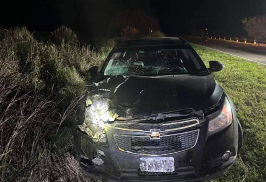 Animales sueltos en la Ruta 2 provocan fuerte choque