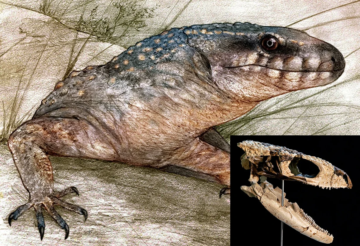 reptil