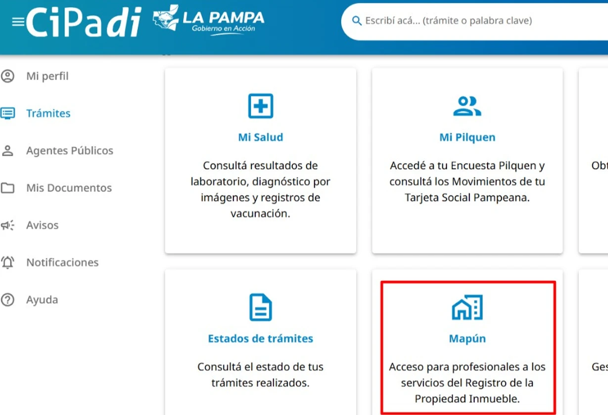 cipadi_Portada