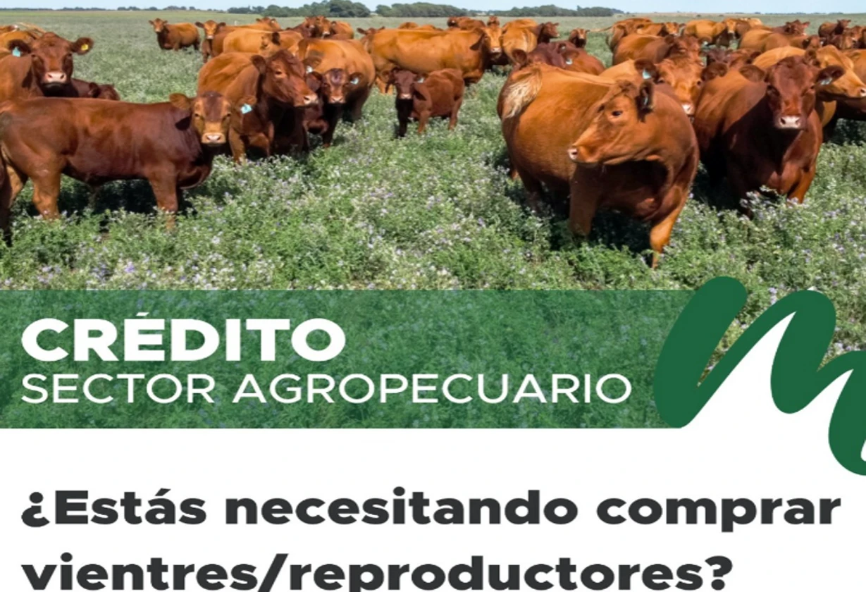 ganado_Portada
