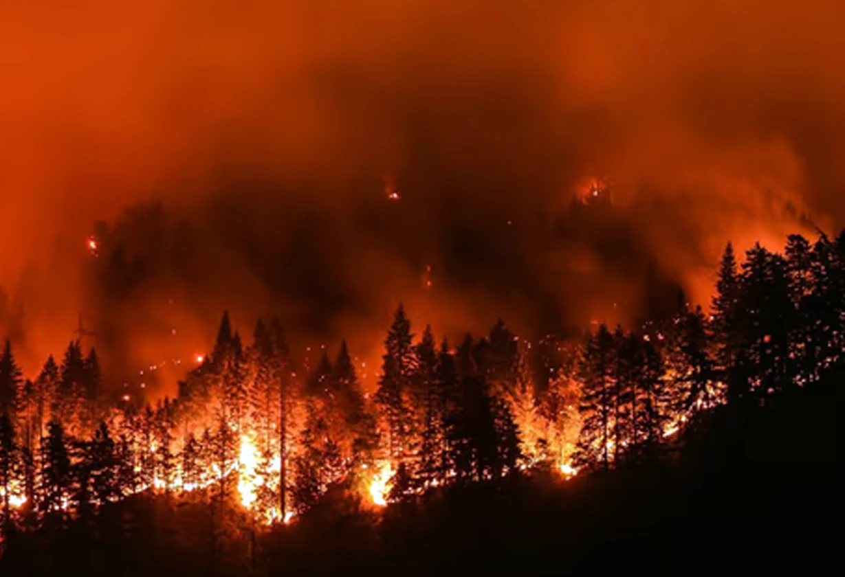 incendio_Portada
