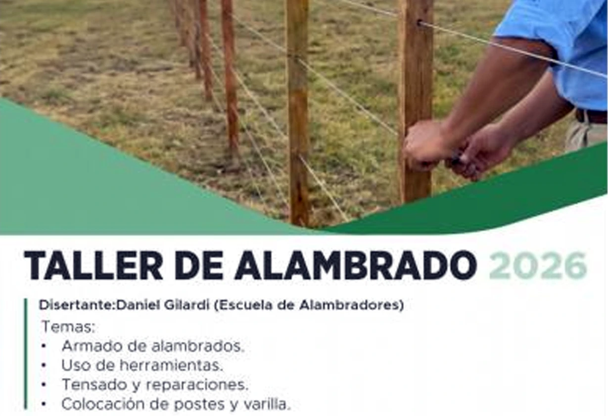 alambre_Portada