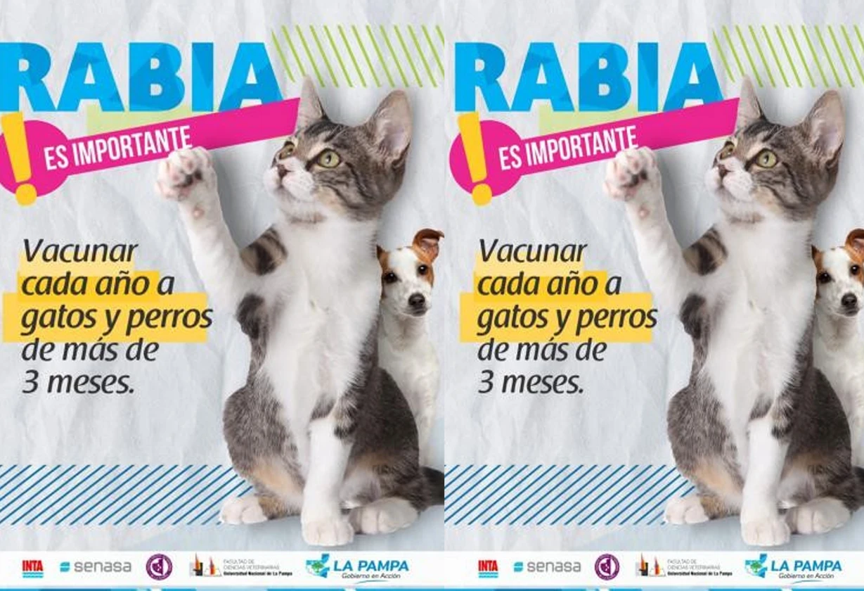 rabia_Portada
