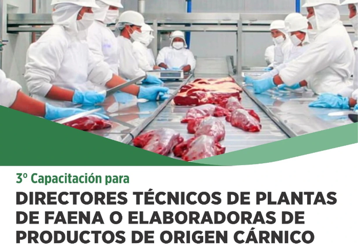faena_Portada