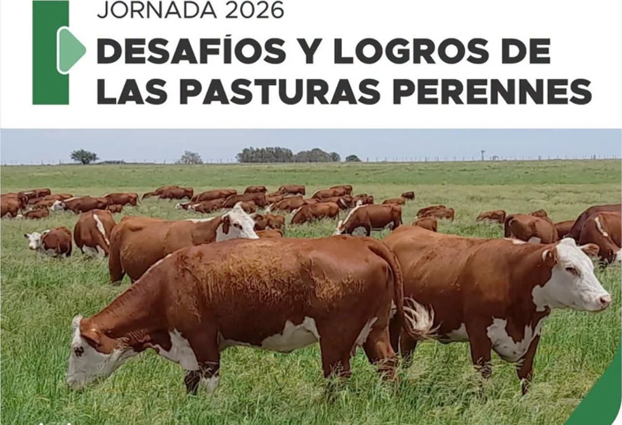 pasto_Portada