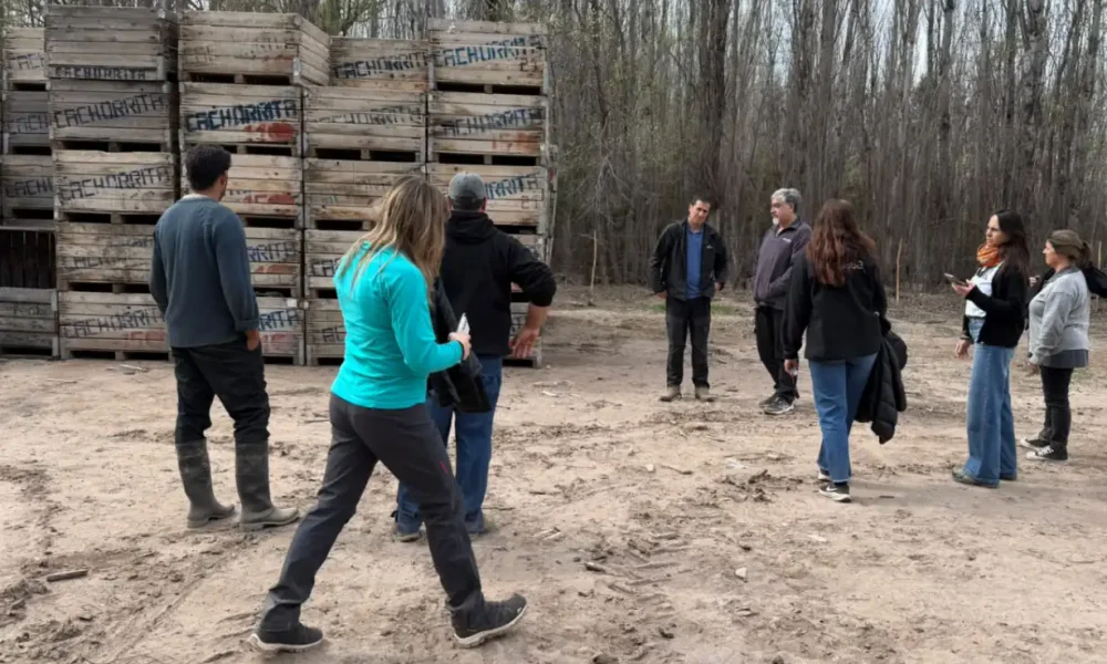 Avanzan en La Pampa para certificar sitios libres de mosca