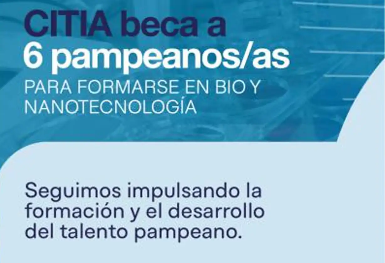Becas-Nanotecnología