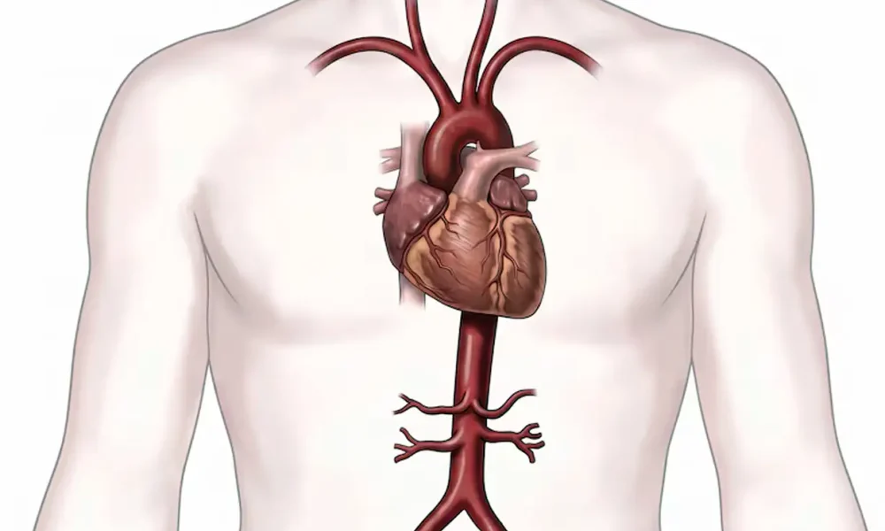 Herpes zóster: aumenta el riesgo de infarto y ACV
