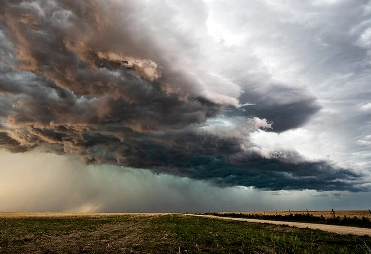 El Niño amenaza la producción del NEA