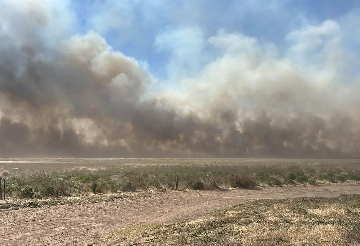 Incendio rural afectó campos entre Quemú Quemú y Trilí