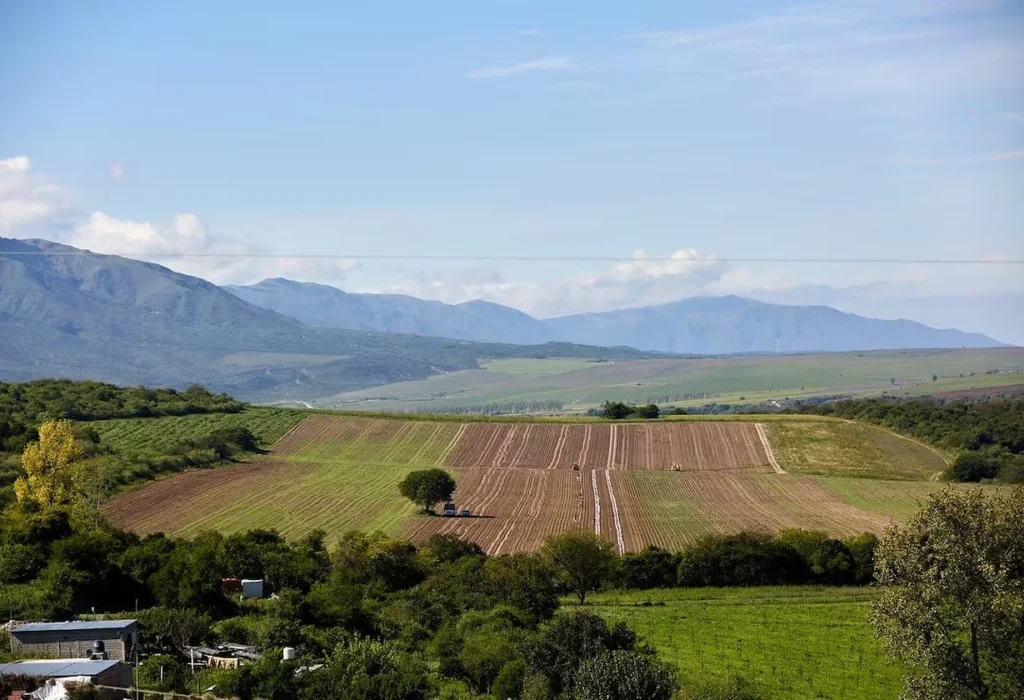 La Corte revocó el fallo sobre la Ley de Tierras