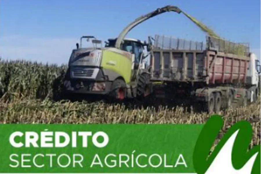 La Pampa ofrece créditos por $55.000 millones al campo