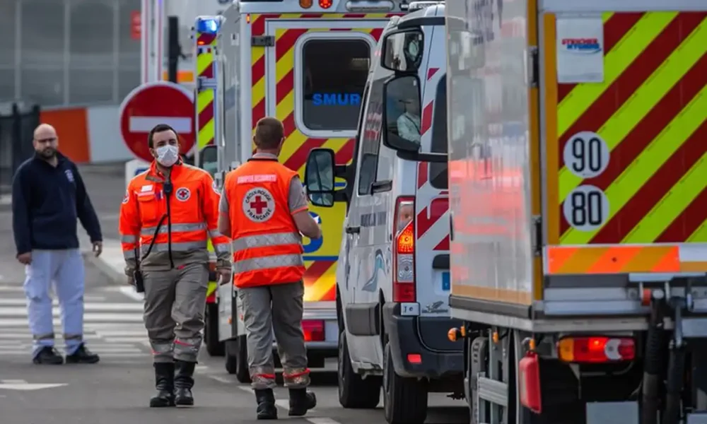 Francia reportó la primera muerte asociada al virus Shamonda