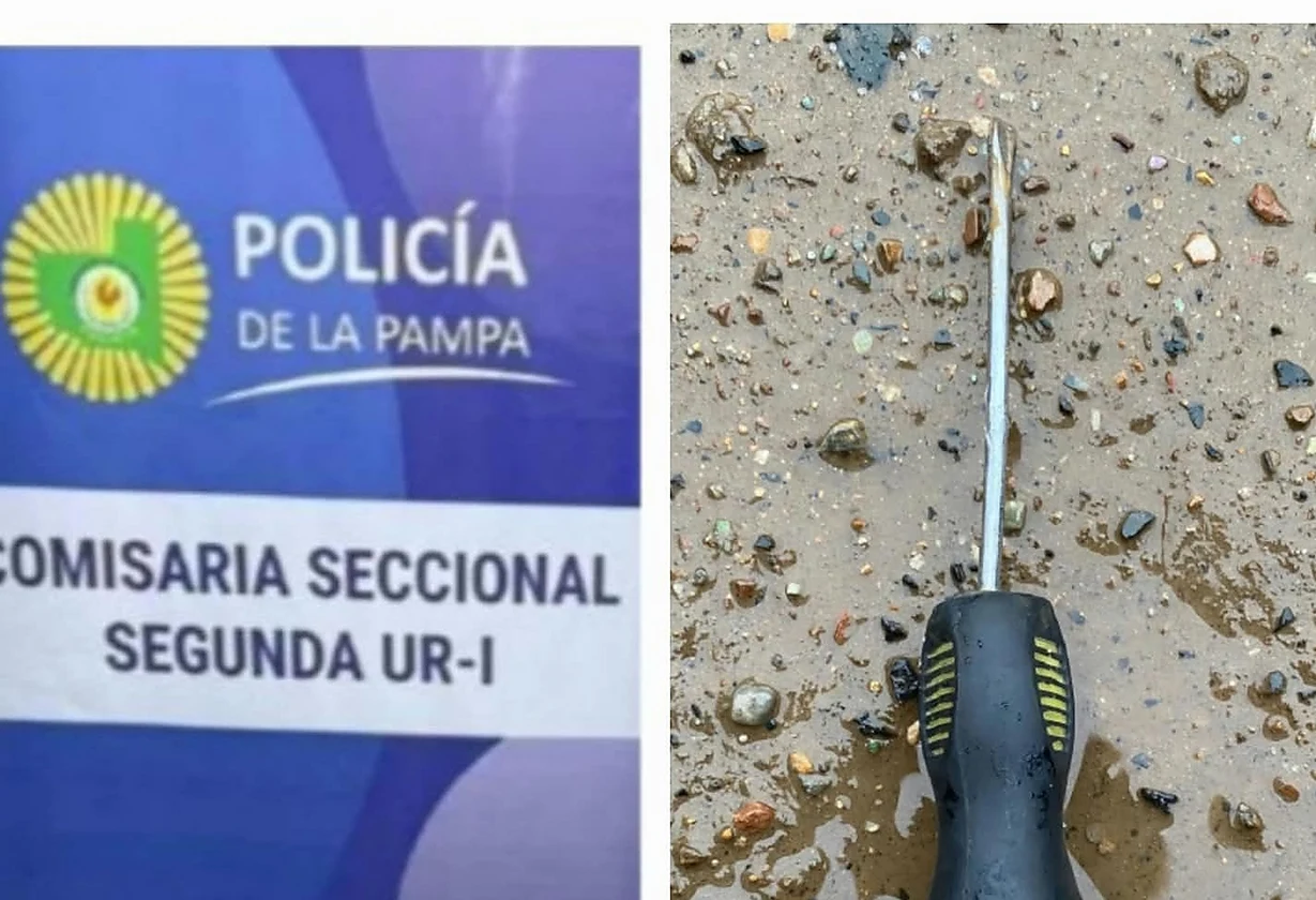 Detuvieron a un joven por robar en un auto