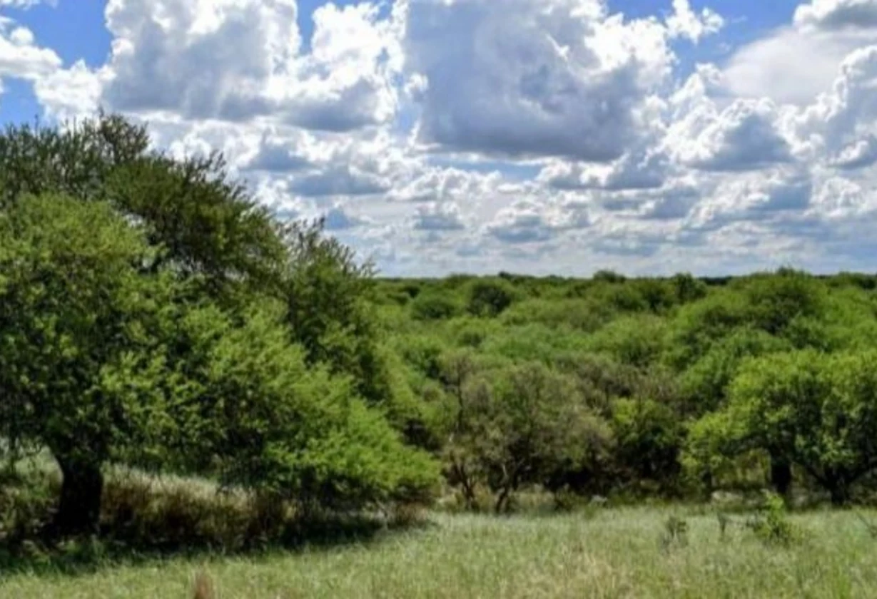 La Pampa impulsa una ley sobre tierras rurales