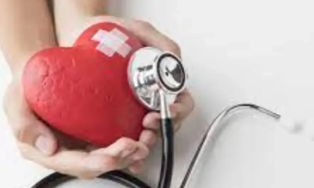 Misiones lideró la mortalidad cardiovascular en 2024