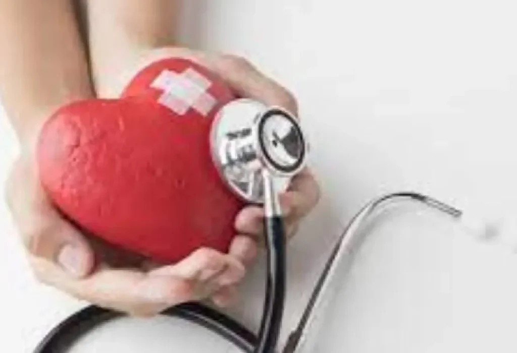 Misiones lideró la mortalidad cardiovascular en 2024
