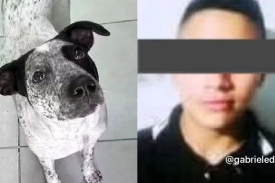 Quién es Tomás Agustín Seco, el policía investigado