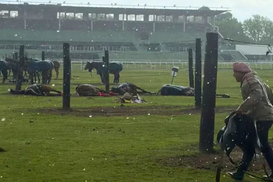 Rayo mató a cuatro yeguas en San Isidro
