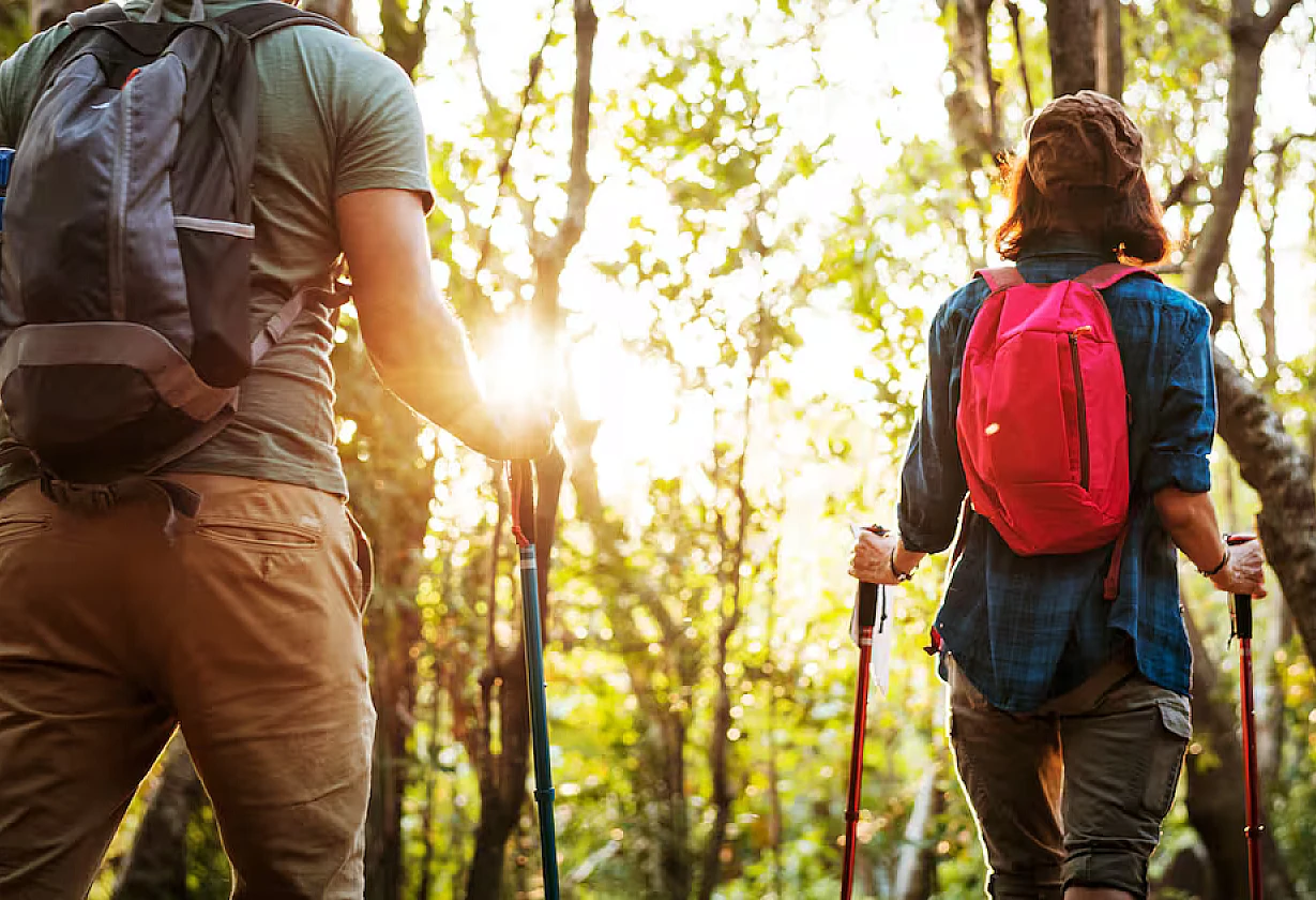 Voluntariado en las sierras de Córdoba